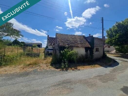 Maison à vendre 75 000 € 3 pièces 2 chambres 116 m² 5 975 m² de terrain Saint-Senoch 37600