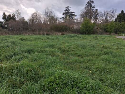 Terrain constructible viabilisé à vendre 71 000 € 1 599 m² de terrain Valdurenque 81090