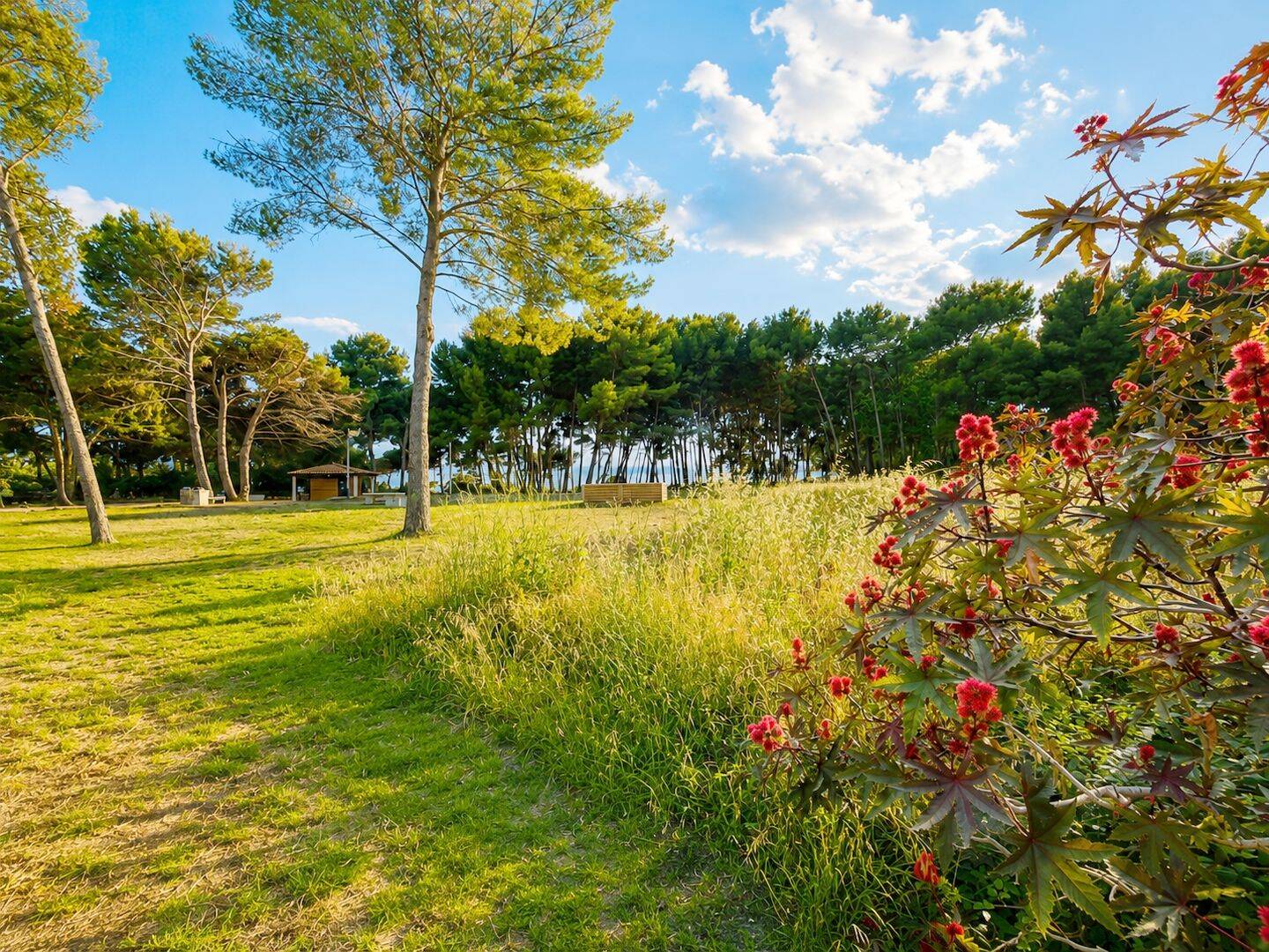 Appartement 5 pièces 110 m² · à Saint-Mandrier-sur-Mer · 110 m² · 649 000 €