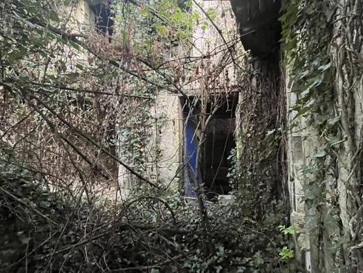 Maison à vendre 63 600 € 200 m² 4 580 m² de terrain Brizay 37220