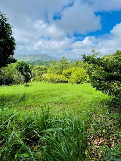 Terrain constructible à vendre 112 000 € 1 200 m² de terrain Le Vauclin 97280