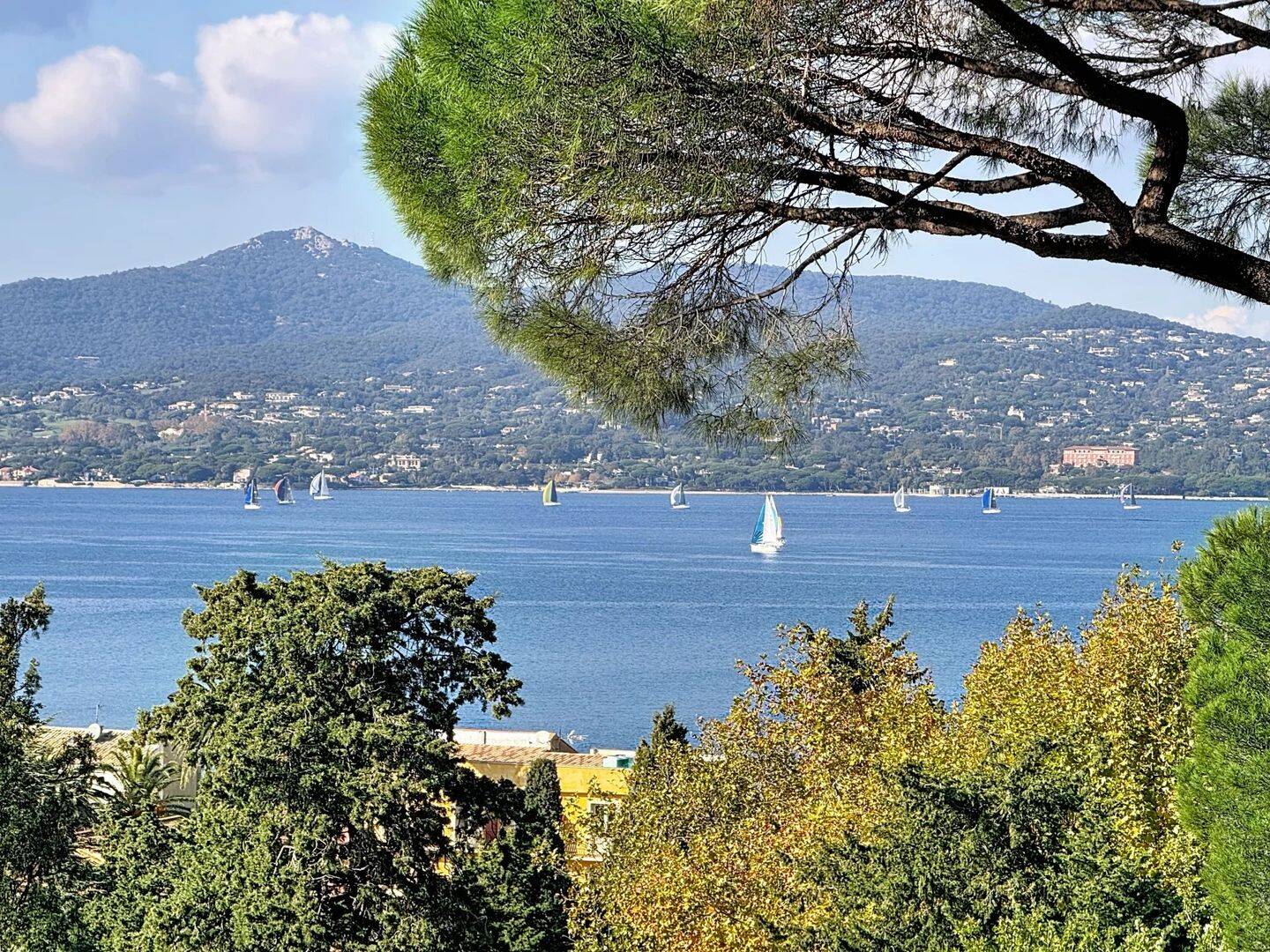 Appartement 2 pièces 41 m² · à Saint-Tropez · 40,9 m² · 850 000 €
