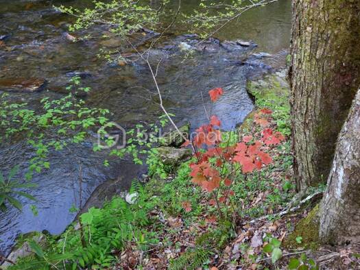 Terrain constructible viabilisé à vendre 88 000 € 53 448 m² de terrain Saint-Pons-de-Thomières 34220