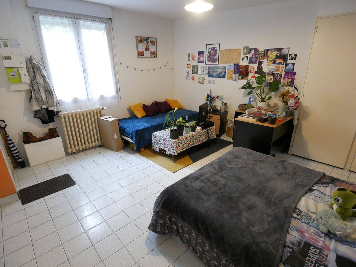 Appartement 1 pièce 24 m² · à Angers · 23,5 m² · 134 500 €