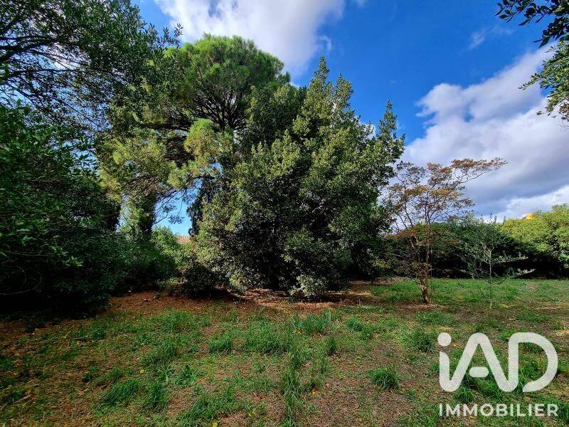 Terrain de 947 m² à Pomérols - photo 2