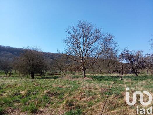 Terrain constructible à vendre 44 000 € 1 715 m² de terrain Frémeréville-sous-les-Côtes 55200