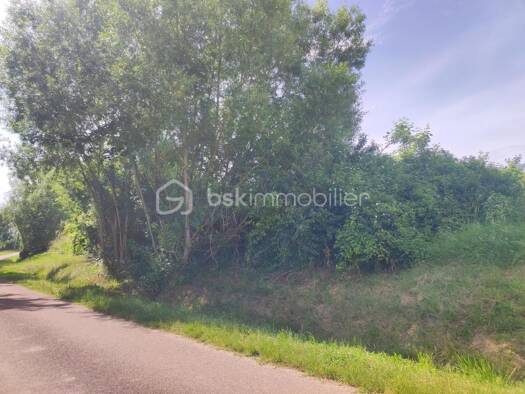 Terrain constructible viabilisé à vendre 50 540 € 2 530 m² de terrain La Trecey Saint-Florentin 89600