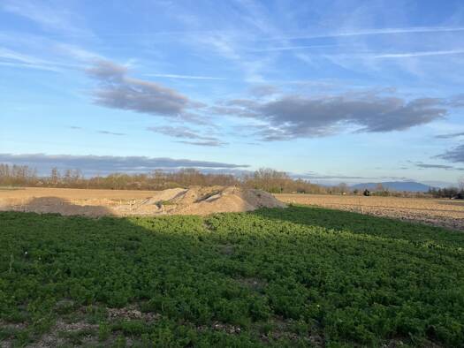 Terrain constructible à vendre 144 900 € 891 m² de terrain Saasenheim 67390