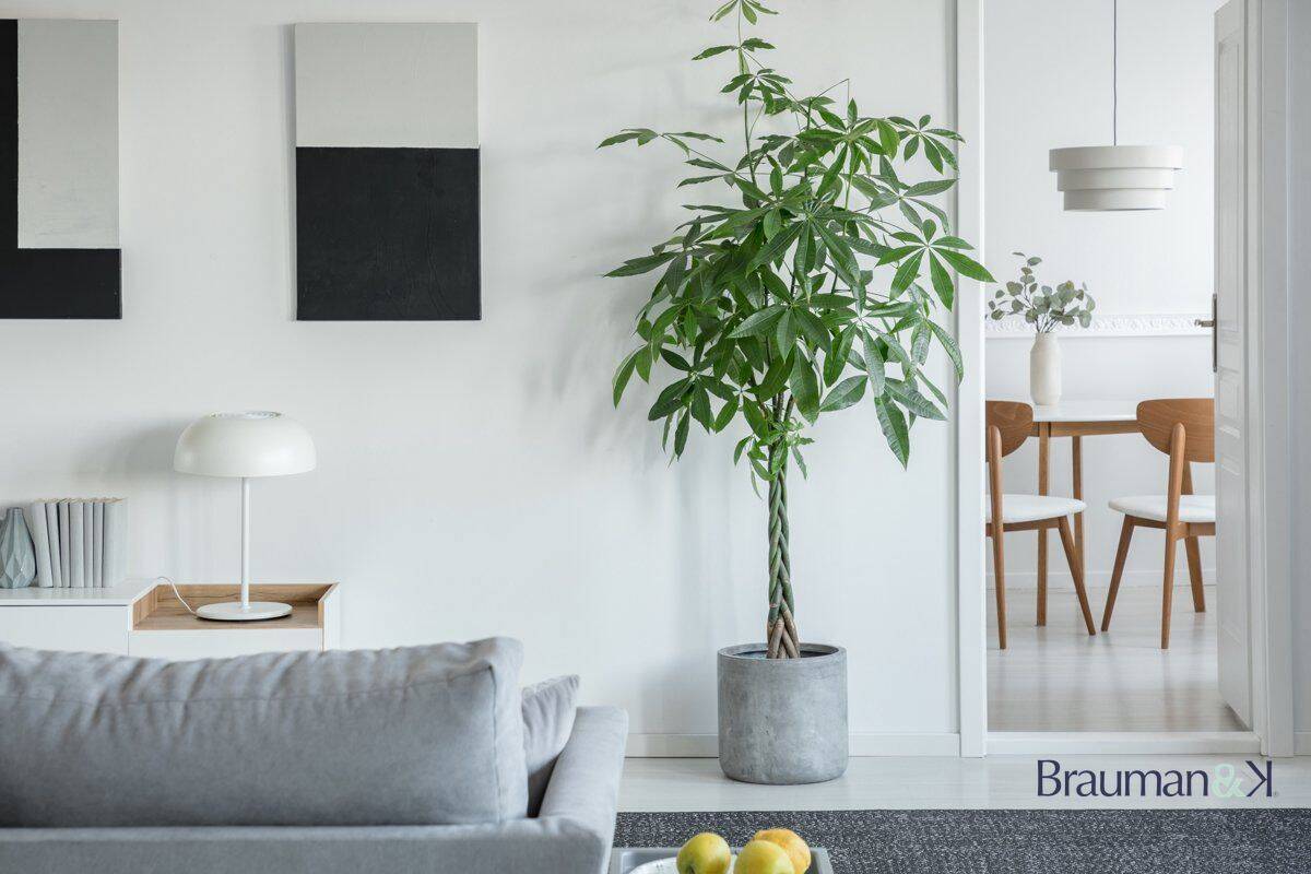 Maison 4 pièces 88 m² · à Perrignier · 88 m² · 454 900 €