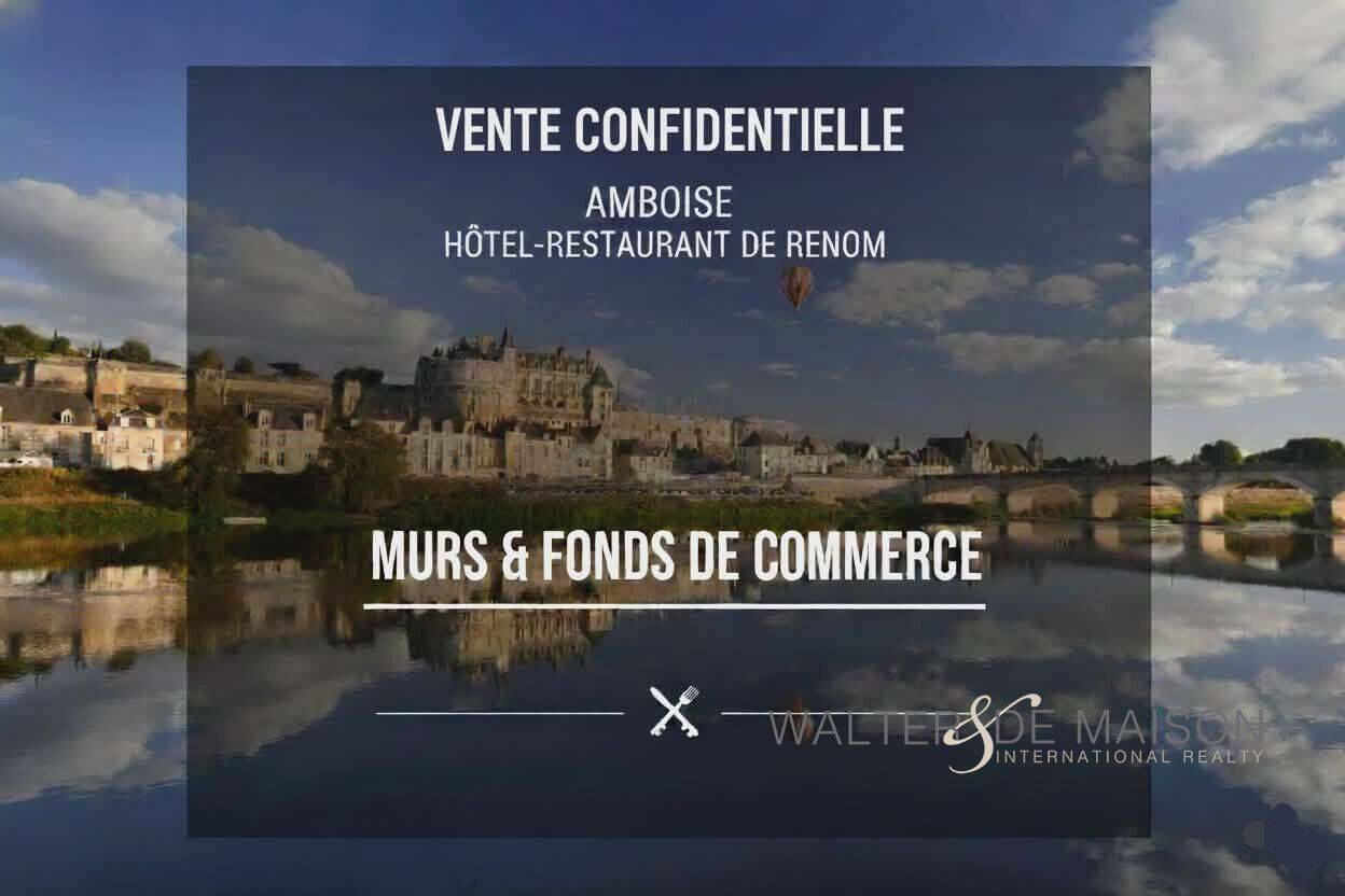 Maison 20 pièces 500 m² · à Amboise · 500 m² · 1 500 000 €