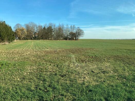 Terrain constructible viabilisé à vendre 132 440 € 344 m² de terrain Eckwersheim 67550