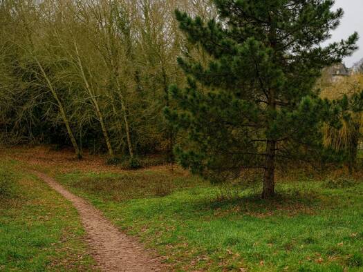 Terrain constructible viabilisé à vendre 85 000 € 575 m² de terrain Flins-Neuve-Église 78790