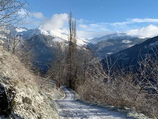 Maison à vendre 840 000 € 10 pièces 9 chambres 100 m² 3 000 m² de terrain Les Chapelles 73700