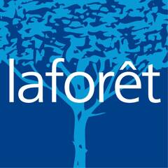 LAFORÊT IMMOBILIER RIS CONSEIL logo