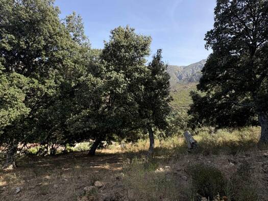 Terrain constructible à vendre 338 900 € 8 600 m² de terrain Occhiatana 20226