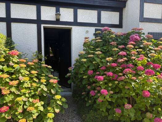 Maison à vendre 209 000 € 3 pièces 2 chambres 29,9 m² Cabourg 14390