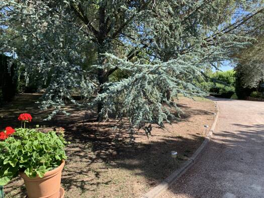 Terrain constructible viabilisé à vendre 290 000 € 688 m² de terrain Lissieu 69380