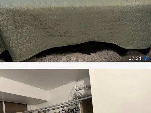 Appartement à louer - logement étudiant 395 € 1 pièce 15 m² RDC Boussy-Saint-Antoine 91800