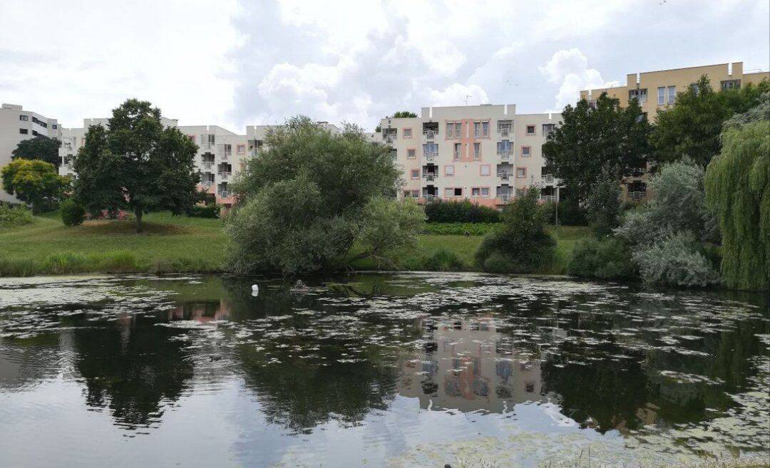 Appartement 4 pièces 85 m² · à Champs-sur-Marne · 85 m² · 1 290 €/mois