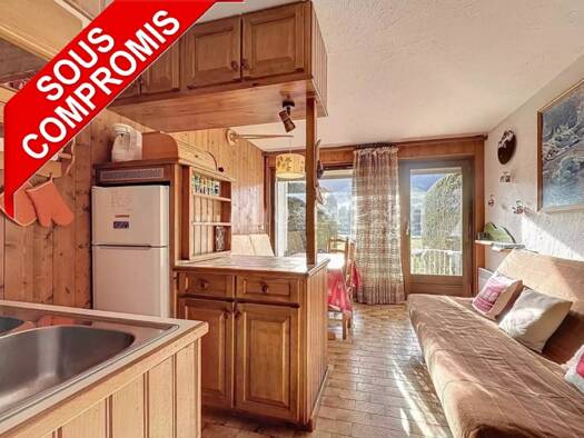 Appartement à vendre 103 000 € 1 pièce 21 m² RDC/3 Praz-sur-Arly 74120