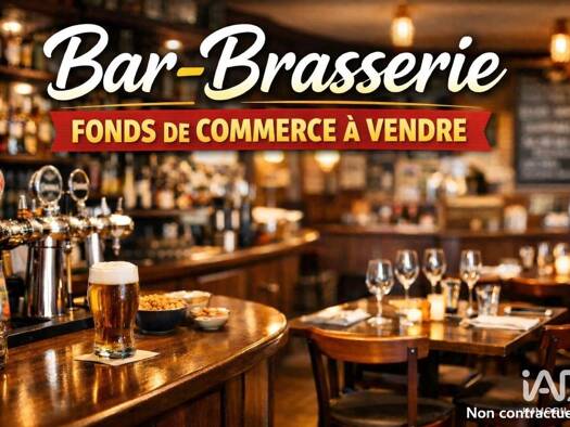 Local commercial à vendre 295 000 € 130 m² de surface de vente Ecusson-Ile Saint Laurent Chalon-sur-Saône 71100