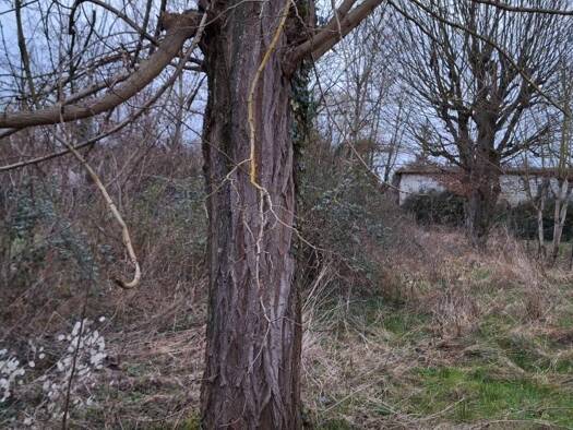 Terrain constructible à vendre 52 000 € 643 m² de terrain Villemandeur 45700