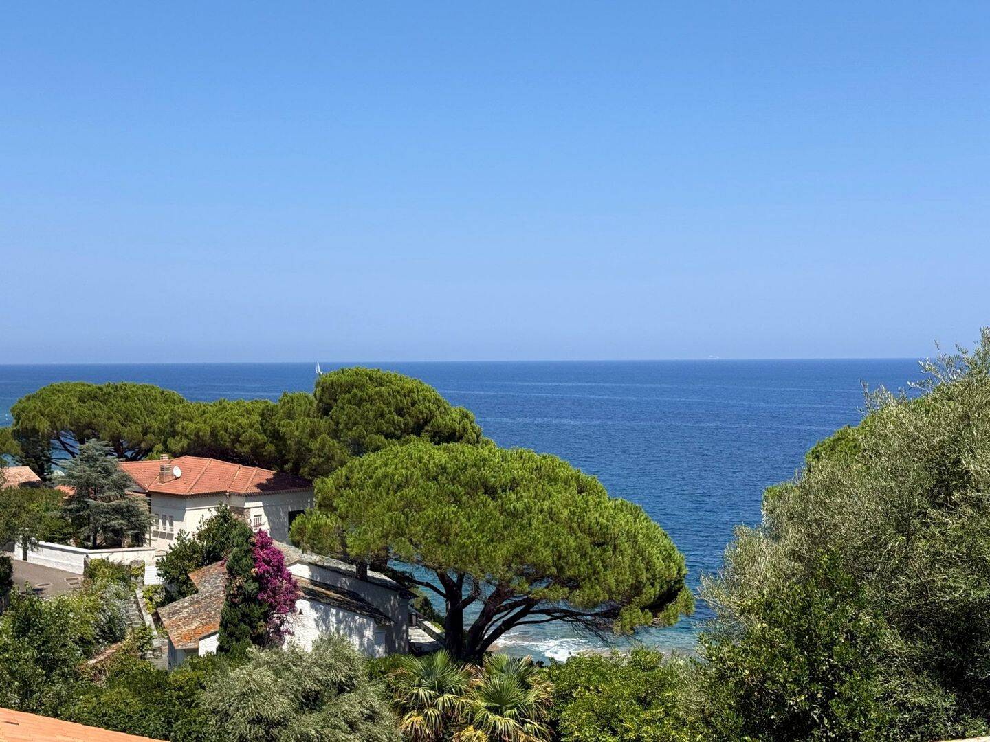 Maison 7 pièces 195 m² · à San-Martino-Di-Lota · 195 m² · 540 000 €