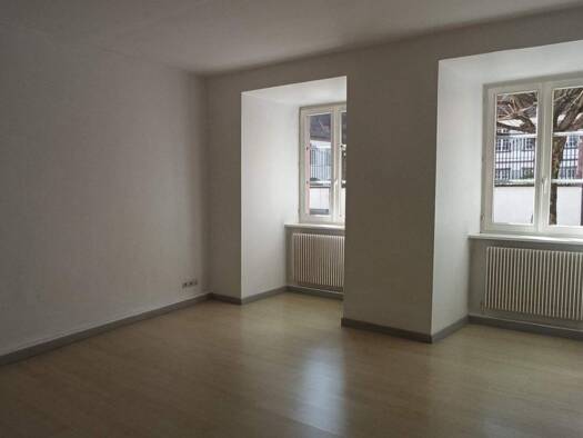 Appartement à louer 585 € 2 pièces 1 chambre 50,3 m² RDC/3 Centre Wissembourg 67160