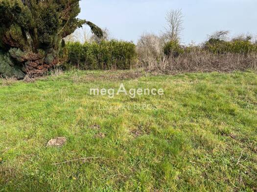Terrain constructible à vendre 44 000 € 919 m² de terrain Bajus 62150