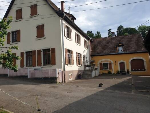 Maison à vendre 629 500 € 17 pièces 11 chambres 308 m² Breitenbach-Haut-Rhin 68380