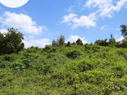 Terrain constructible à vendre 110 000 € 865 m² de terrain Les Abymes 97139