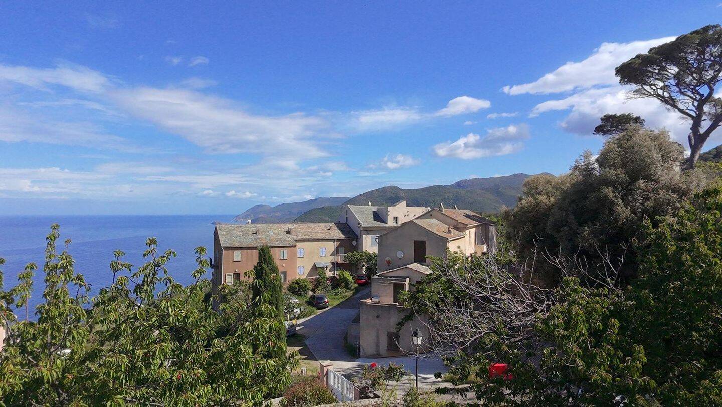 Terrain de 971 m² à Pino - photo 2