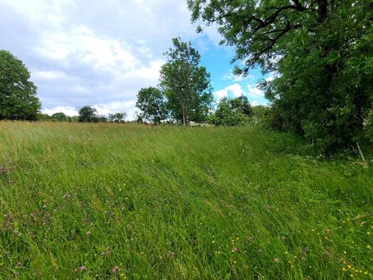 Terrain constructible à vendre 49 000 € 1 200 m² de terrain Longcochon 39250