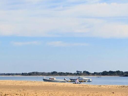 Appartement à vendre 213 800 € 2 pièces 1 chambre 28,2 m² 1er étage Aiguillon Arcachon 33120