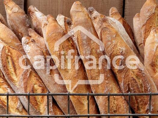 Boulangerie / Pâtisserie à vendre Fonds de commerce 223 000 € 300 m² de surface de vente La Chapelle-du-Bois 72400