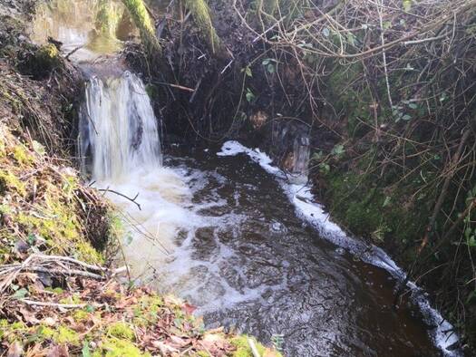 Terrain à vendre 45 000 € 79 300 m² de terrain Penguily 22510