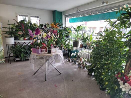 Local commercial à vendre 215 000 € 359 m² de surface de vente Montauban 82000