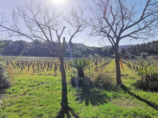 Maison à vendre 1 045 000 € 3 pièces 2 chambres 99,7 m² dès le 31/07/2027 Cassis 13260