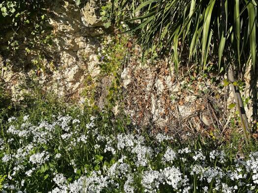 Terrain constructible à vendre 85 000 € 1 335 m² de terrain Mauvezin 32120