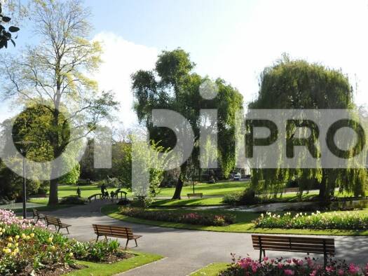 Local commercial avec bail commercial 1 916 € 121 m² de surface de vente Le Havre 76600