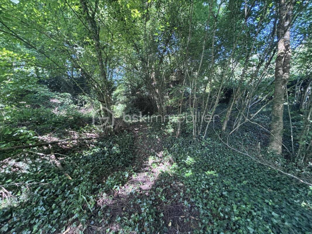 Terrain de 689 m² à Saint-Antoine-du-Rocher - photo 2