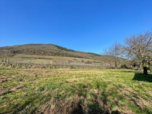 Terrain constructible à vendre 465 000 € 2 211 m² de terrain Châtenois 67730