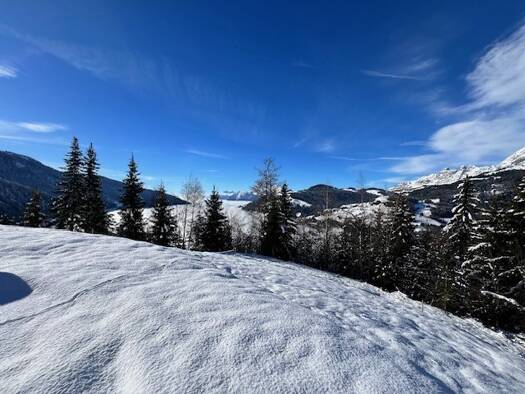 Terrain constructible viabilisé à vendre 290 000 € 629 m² de terrain Cohennoz 73400