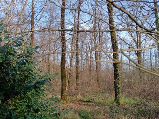 Terrain à vendre 63 000 € 24 045 m² de terrain Sainte-Gemme 36500