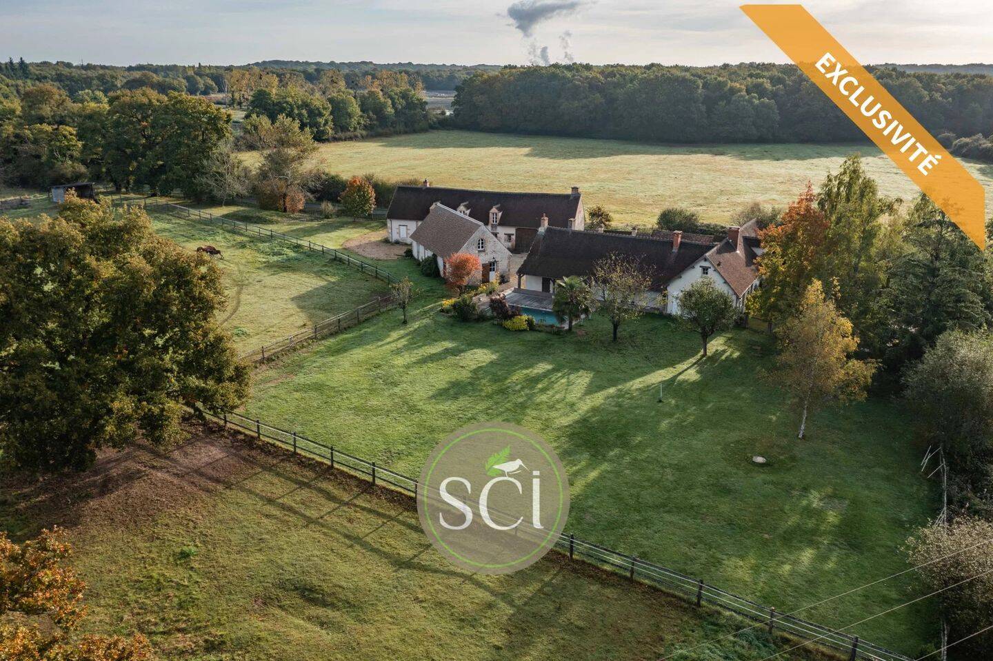 Maison 12 pièces 381 m² · à Sully-sur-Loire · 381 m² · 695 000 €