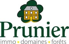 AGENCE PRUNIER logo