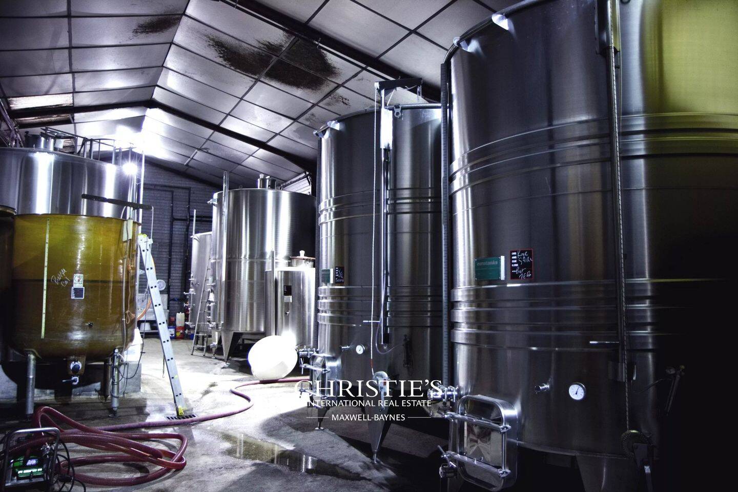 Au coeur du Bas-Armagnac - Domaine en production, chais d'except