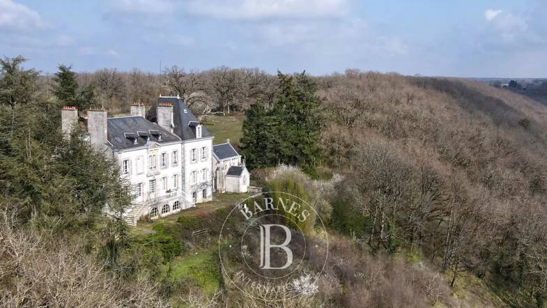 Château à vendre 899 000 € 15 pièces 7 chambres Saint-Gaultier 36800