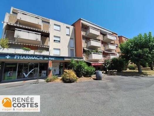 Appartement en viager occupé Bouquet 79 430 € 2 pièces 1 chambre 48 m² Étage 2/4 Ritouret Blagnac 31700