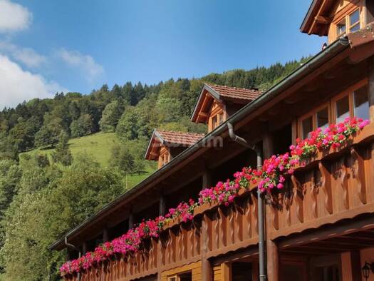 Maison à vendre 690 000 € 23 pièces 14 chambres 1 958 m² 95 010 m² de terrain Centre Sainte-Marie-aux-Mines 68160